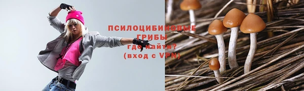 соль ск Алзамай
