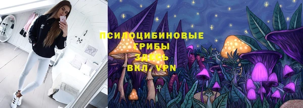 соль ск Алзамай