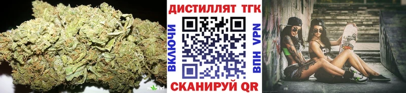 ТГК концентрат  Магас 