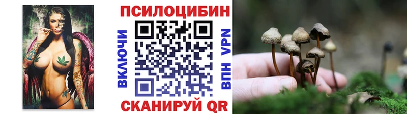 Галлюциногенные грибы Psilocybine cubensis  Магас 